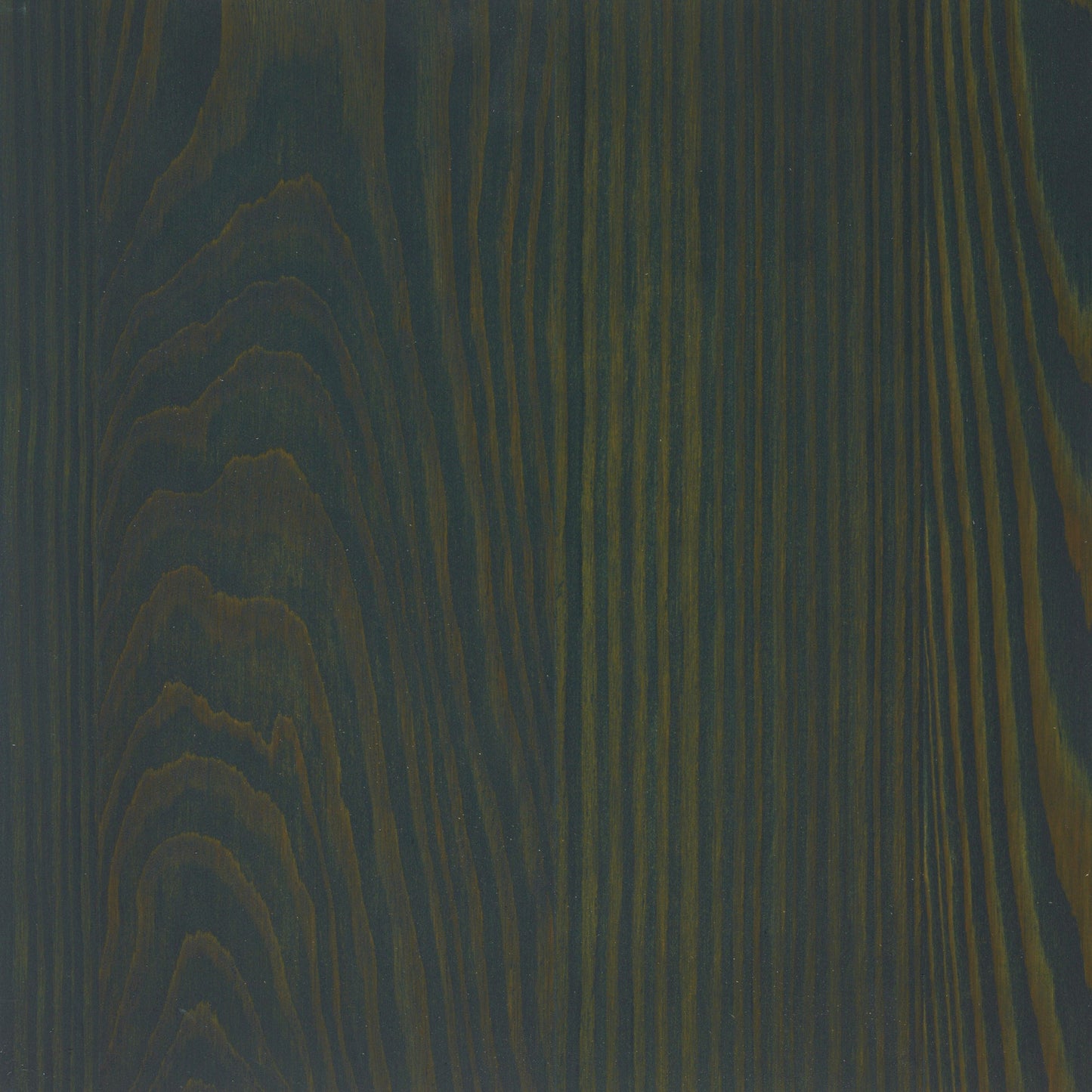 Larch