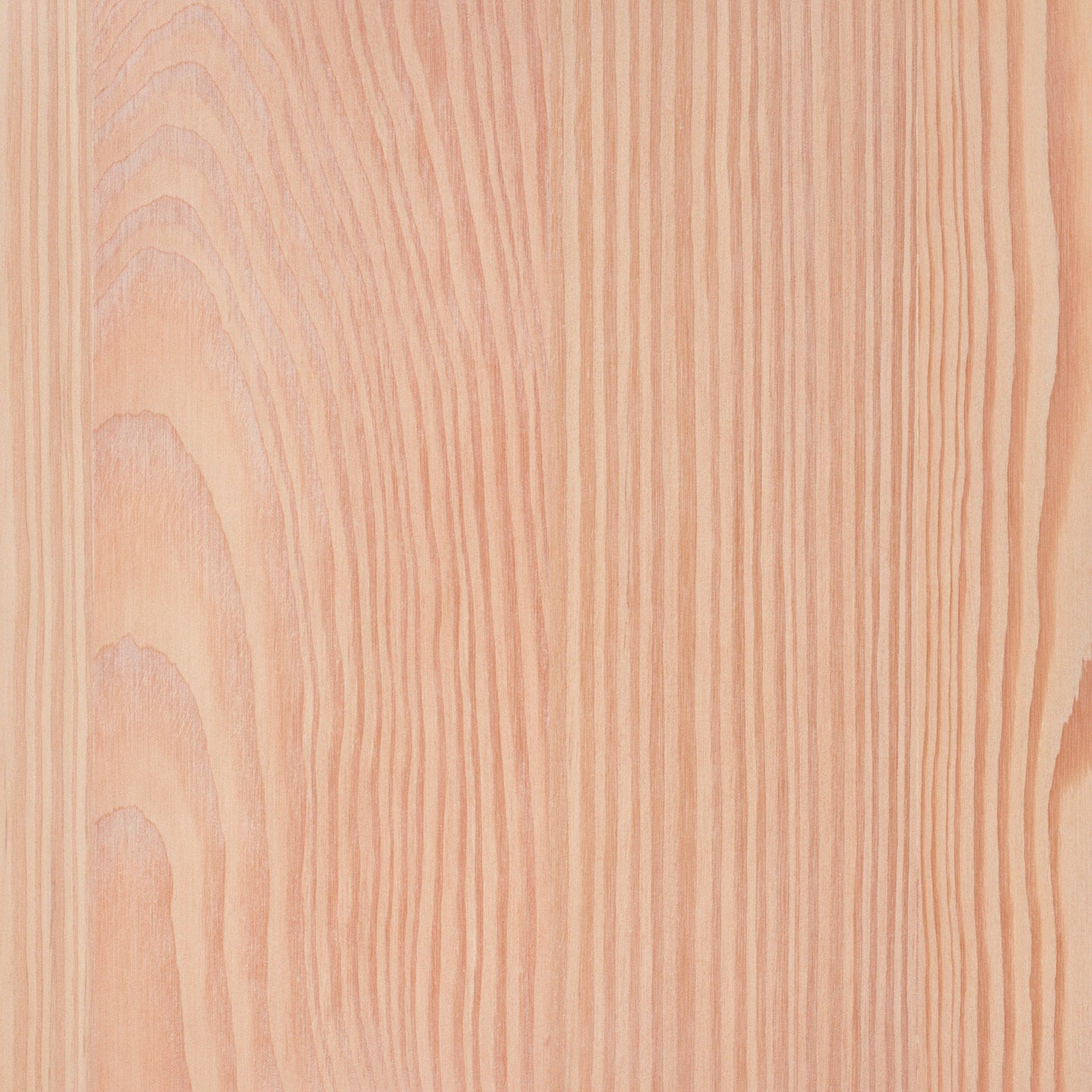 Larch