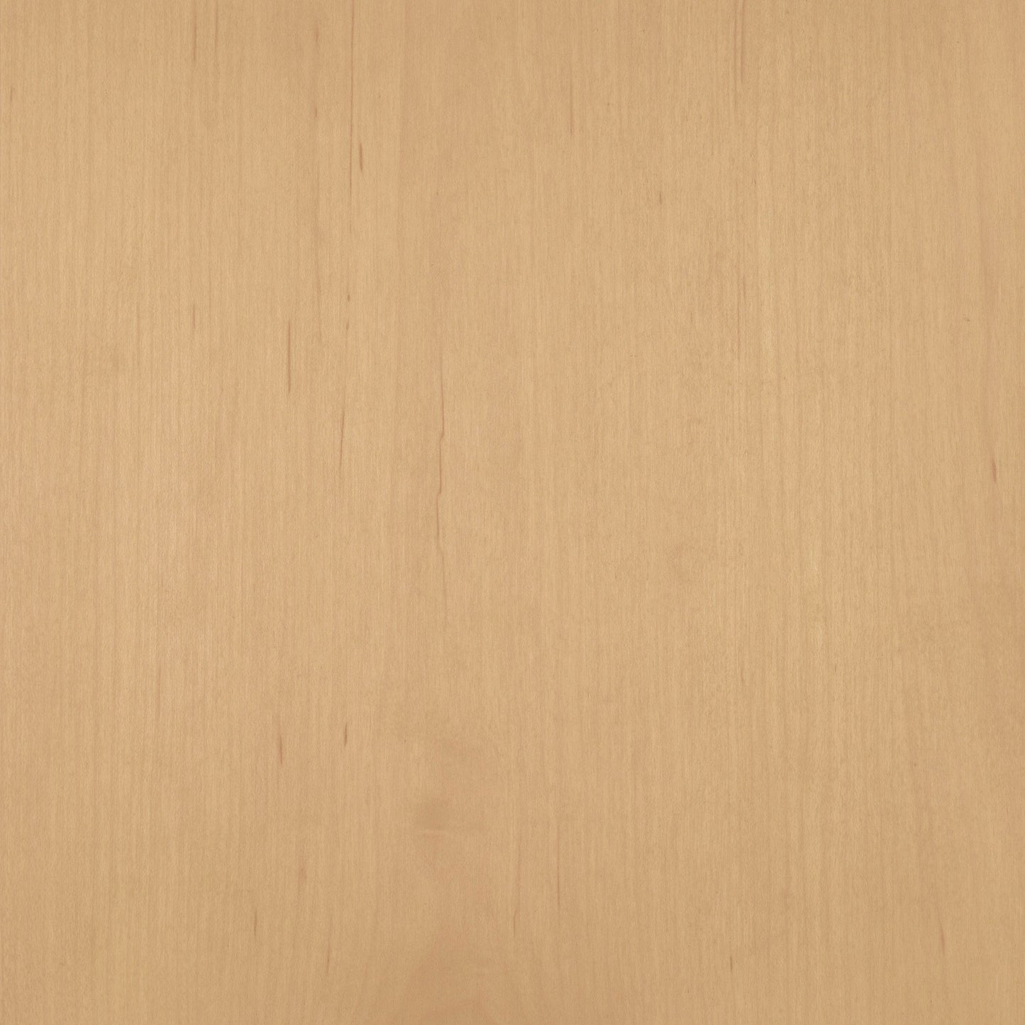 Maple